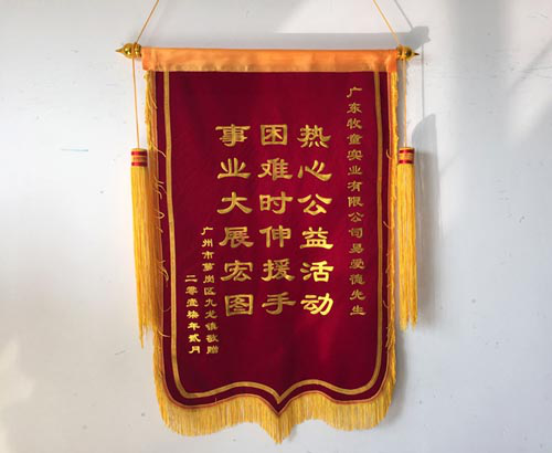 牧童公司熱心公益事業(yè)，資助九龍鎮(zhèn)兒童游樂(lè)場(chǎng)建設(shè)